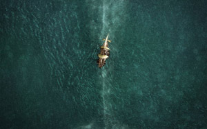 In the Heart of the Sea